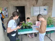 Les jeunes élus de Blasimon vendent leurs plants pour financer un voyage à Paris