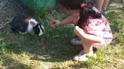 Les petits de la crèche à la découverte de la ferme