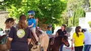 Légère baisse de fréquentation à la Fête de printemps de Montaren