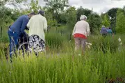 Liberté et sécurité en Ehpad : l'équilibre délicat à trouver