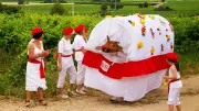 Lo Picart, animal totémique de Saint-Jean-de-Fos, sort pour la Pentecôte