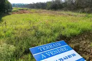 Loi ZAN : le piège qui menace les petits terrains industriels