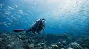 Maldives : cinq plongeurs italiens meurent, un corps retrouvé