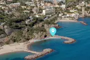 Mandelieu : une plage réservée aux chiens cet été, mode d'emploi