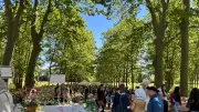 Marché aux fleurs de Castries : une édition printanière réussie
