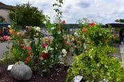 Marché aux fleurs du 1er mai à Tonneins : eau et artisanat à l'honneur