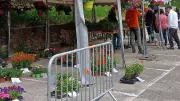 Marché aux plants réussi à Saint-Rome-de-Cernon malgré la concurrence