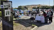 Marché de l'art à Frontignan : un succès pour la 3e édition