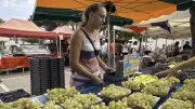 Marseillan : marchés estivaux, saveurs et convivialité au rendez-vous