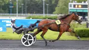 Max Occagnes double la mise dans le quinté à Paris-Vincennes