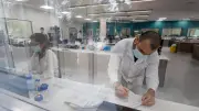Médicaments anticorps : une déferlante attendue d'ici 2030