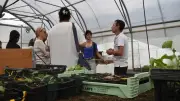 Millau : Le Jardin du Chayran ouvre ses portes pour une après-midi solidaire