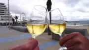 Millésimes des Pyramides : 3e édition du salon du vin à La Grande-Motte