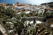 Monaco et Rome unissent leurs jardins pour sauvegarder les plantes succulentes
