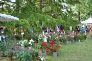 Mérignac : 40 exposants pour un jardinage écoresponsable le 30 mai