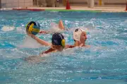 NCA à Arras : un match crucial pour le titre de championnes de France