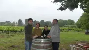 Œnotourisme au château de Jonquières : visites, jazz et nouvelle guinguette