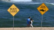 Nouvelle attaque de requin en Australie : un homme dans un état critique