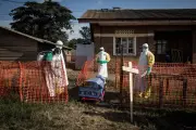 Nouvelle flambée d'Ebola en RDC : 80 décès suspects, souche sans vaccin
