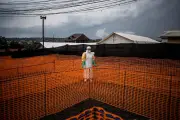 Nouvelle épidémie d'Ebola déclarée en RDC