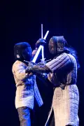 Nuit des arts martiaux : spectacle et démonstrations le 30 mai