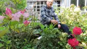 Oise : le jardin Van Beek aux 20 000 tulipes rêve de la télé