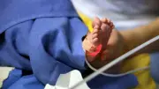 Oise : une enfant de 21 mois avec 2,14 g d'alcool dans le sang à la sortie de la crèche