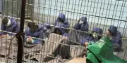 ONU accuse Israël de violences sexuelles contre des prisonniers palestiniens