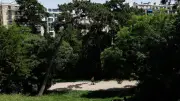 Paris : 14 parcs ouverts jusqu'à minuit face à la canicule
