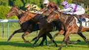 Pas Dansant remporte le quinté du 21 mai à ParisLongchamp