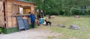 Peggy Augier reprend l'animation du site de Bel-Ébat Écluse à Champdolent