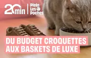 Plein les poches : bons plans et astuces pour économiser chaque semaine