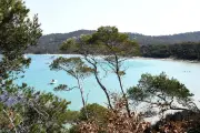 Plongeur disparu à Porquerolles : interdiction totale d'activité autour de l'épave du Donator