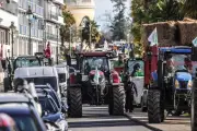 Projet de loi d'urgence agricole : débats tendus à l'Assemblée
