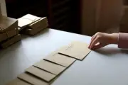 Présidentielle 2027 : l'ennui d'une campagne sans souffle