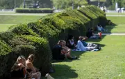 Quels arbres planter pour lutter contre la canicule ?