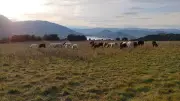 Rando gourmande sur les hauteurs du Salagou le 23 mai