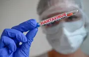 Rapatriement sous haute surveillance des cinq Français contaminés par l'hantavirus