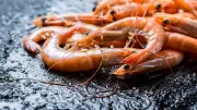 Rappel de crevettes Worldmarechal pour listeria dans les magasins Grand Frais et Fresh
