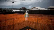 RDC : nouvelle souche d'Ebola sans vaccin, 80 décès déjà recensés