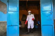 RDC : premier guéri de la nouvelle épidémie de Ebola