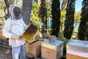 Reconversion d'un plombier en apiculteur passionné à Bois Sacré