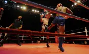 Report du gala de muay thaï à Jonzac : du 9 mai au 28 novembre