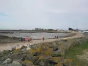Requalification de la pointe de la Fumée : fin de la première phase