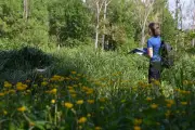 Restaurer la plaine de la Brague à Antibes : un projet expérimental lancé