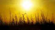Retour de la chaleur : jusqu'à 33°C en Occitanie pour la Pentecôte