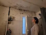 Résidence Les Mosaïques au Bouscat : infiltrations et moisissures persistent
