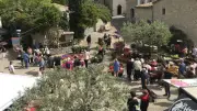Saint-Jean-de-Cuculles : 37e Fête des Fleurs, un rendez-vous printanier convivial