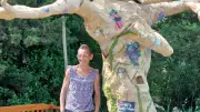 Saint-Jean-du-Gard : une exposition à ciel ouvert célèbre l'arbre