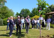 Sainte-Marthe : tradition du Mai respectée avec la plantation d'un tilleul
